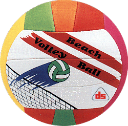 beach-volley-ball4.gif (44501 bytes)