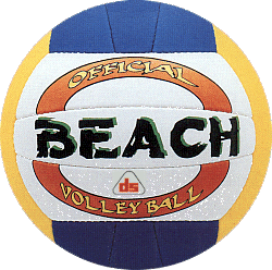 beach-volley-ball5.gif (42702 bytes)