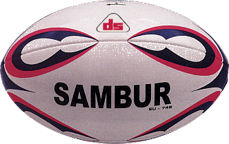 rugby-ball1.gif (52310 bytes)