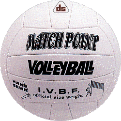 volley-ball.gif (54424 bytes)