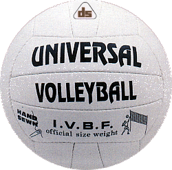volley-ball1.gif (52837 bytes)